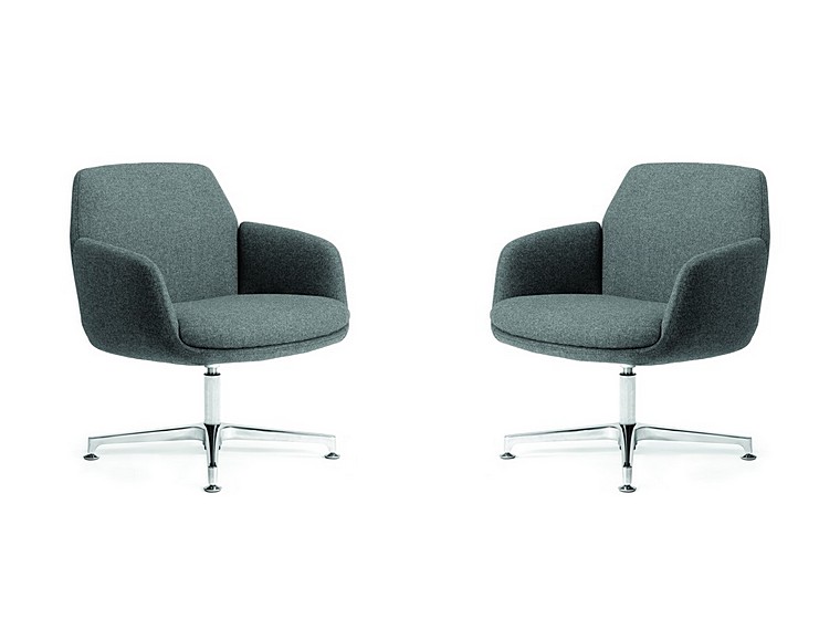 Anatome Daisy - Image 3