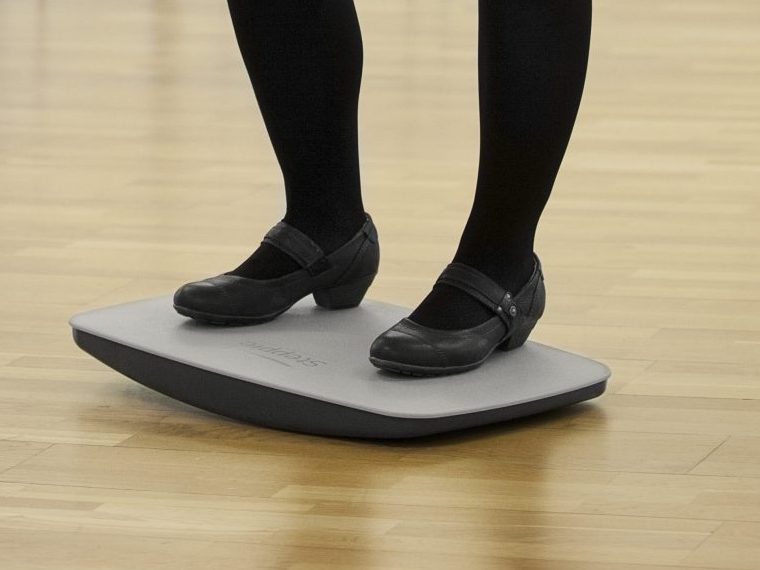 Steppie - Balance Board - Image 4