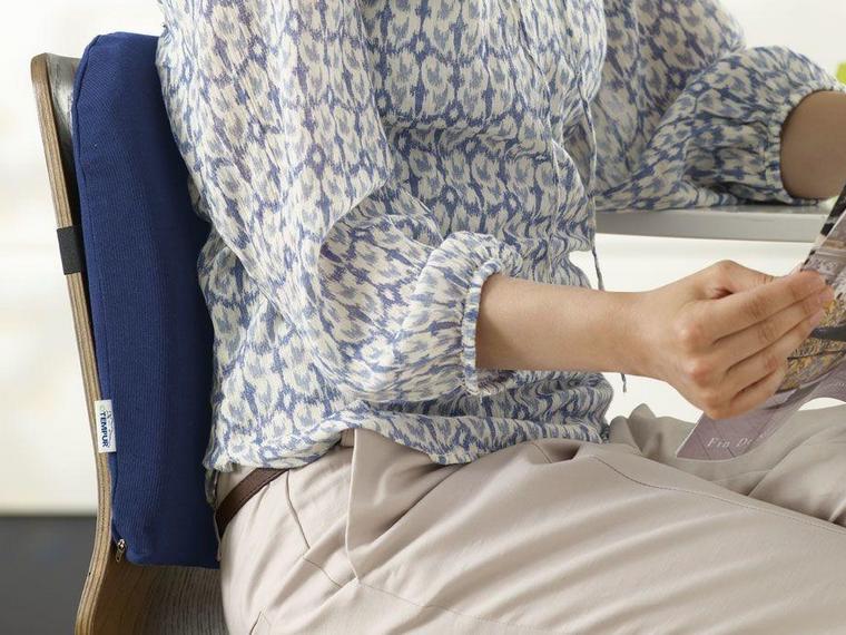 Tempur Lumbar Support