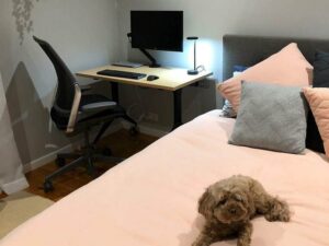 @tags:WyJJc0hlcm8iLCJJc0luZm8iLCJTaG93IEFkZGl0aW9uYWwiXQ==