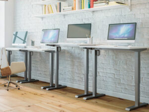 Anatome Rise Straight