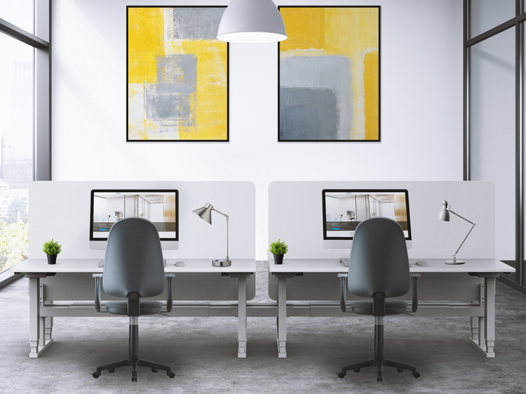 E Vision Back 2 Back - Image 4