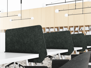 Anatome Divider Screens