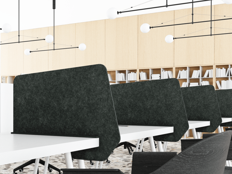 Anatome Divider Screens