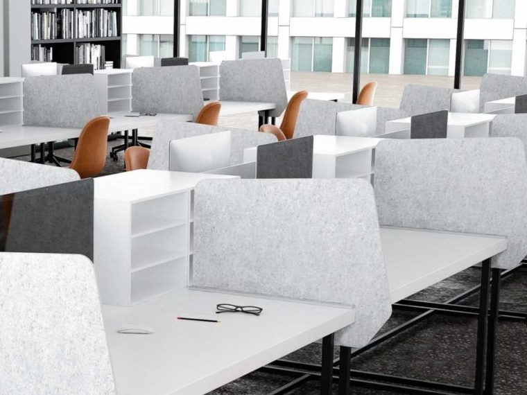 Anatome Divider Screens - Image 2